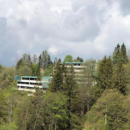 Apartment Harzblick -NEU MODERNISIERT- Sankt Andreasberg Zewnętrze zdjęcie
