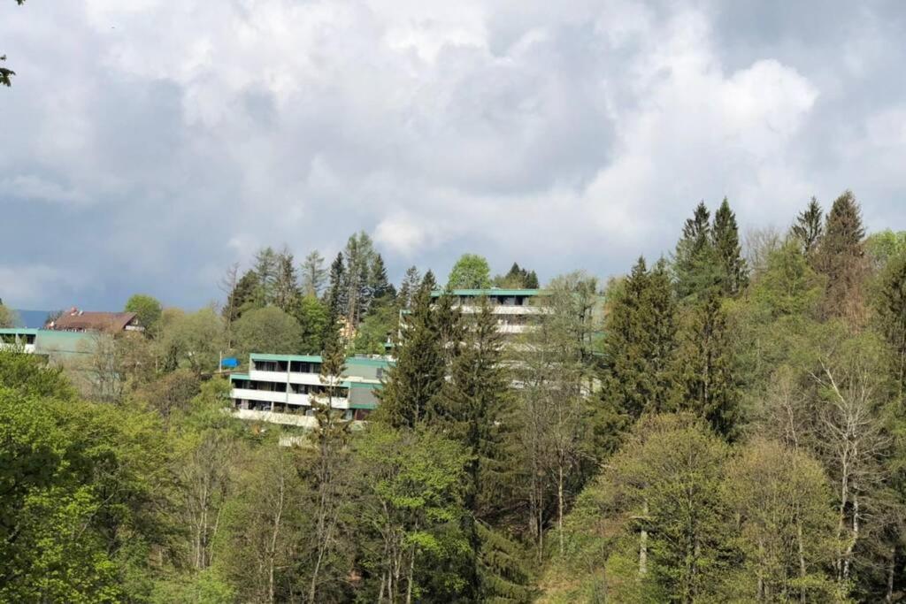 Apartment Harzblick -NEU MODERNISIERT- Sankt Andreasberg Zewnętrze zdjęcie