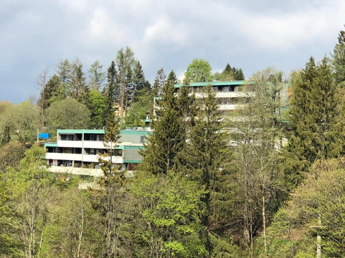 Apartment Harzblick -NEU MODERNISIERT- Sankt Andreasberg Zewnętrze zdjęcie